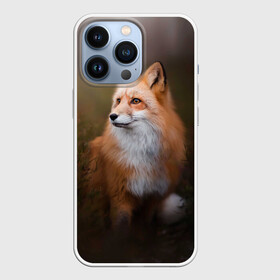 Чехол для iPhone 13 Pro с принтом Лиса охотница в Курске,  |  | fox | foxy | животное | звери | лиса | лисенок | лисичка | милая | рыжая | фокс