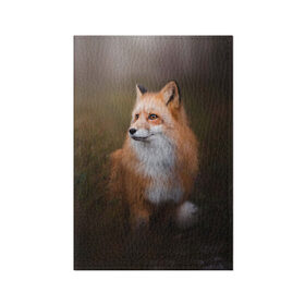 Обложка для паспорта матовая кожа с принтом Лиса-охотница в Курске, натуральная матовая кожа | размер 19,3 х 13,7 см; прозрачные пластиковые крепления | fox | foxy | животное | звери | лиса | лисенок | лисичка | милая | рыжая | фокс