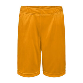 Детские спортивные шорты 3D с принтом Цвет Шафран (без рисунка) в Курске,  100% полиэстер
 | пояс оформлен широкой мягкой резинкой, ткань тянется
 | Тематика изображения на принте: без рисунка | горчичный | желто оранжевый тон | желтый | модные цвета 2020 | оранжевый | рыжий | сочный цвет | цвет 2020 | шафран | яркие цвета