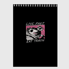 Скетчбук с принтом Live fast Eat trash в Курске, 100% бумага
 | 48 листов, плотность листов — 100 г/м2, плотность картонной обложки — 250 г/м2. Листы скреплены сверху удобной пружинной спиралью | Тематика изображения на принте: eat | fast | live | snap | snap collection | trash | быстро | еда | енот | жизнь | мода | мусор | опоссум | очки
