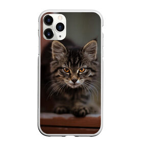 Чехол для iPhone 11 Pro матовый с принтом мой внутренний зверь в Курске, Силикон |  | взгляд | внутренний | глаза | животные | зверы | зверь | кот | котейка | котик | коты | котэ | кошки | лапы | нос | образ | прыжок | смотрит в душу | усы | уши | шерсть