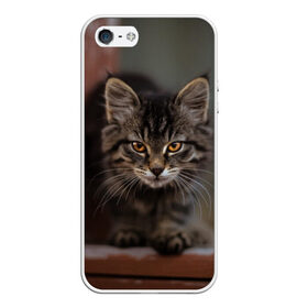 Чехол для iPhone 5/5S матовый с принтом мой внутренний зверь в Курске, Силикон | Область печати: задняя сторона чехла, без боковых панелей | взгляд | внутренний | глаза | животные | зверы | зверь | кот | котейка | котик | коты | котэ | кошки | лапы | нос | образ | прыжок | смотрит в душу | усы | уши | шерсть