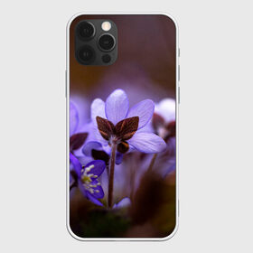 Чехол для iPhone 12 Pro Max с принтом хрупкий цветок фиалка в Курске, Силикон |  | flowers | весна | лиловый | макро | нежный | природа | рост | свежесть | сиреневый | фиолетовый | хрупкий | цветик | цветок | цветочек | цветы