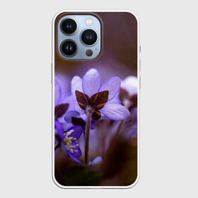 Чехол для iPhone 13 Pro с принтом хрупкий цветок фиалка в Курске,  |  | flowers | весна | лиловый | макро | нежный | природа | рост | свежесть | сиреневый | фиолетовый | хрупкий | цветик | цветок | цветочек | цветы