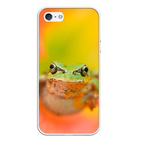 Чехол для iPhone 5/5S матовый с принтом лягушка в цветке мило в Курске, Силикон | Область печати: задняя сторона чехла, без боковых панелей | жаба | жабка | земноводное | ква | квакуха | лягушенок | лягушка | макро | мило | природа | пыльца | цветок