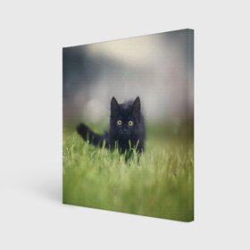 Холст квадратный с принтом черный кот на лугу в Курске, 100% ПВХ |  | взгляд | внутренний | глаза | животные | звери | зверь | кот | котейка | котик | коты | котэ | кошки | лапы | нос | образ | прыжок | смотрит в душу | усы | уши | черный | черныш | шерсть