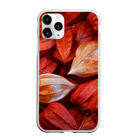 Чехол для iPhone 11 Pro матовый с принтом прекрасный красный физалис в Курске, Силикон |  | Тематика изображения на принте: красноватый | красные коробочки | красный | листья | осень | прикольный | природа | растения | текстура | теплый | фезалис | физалис | фонарики