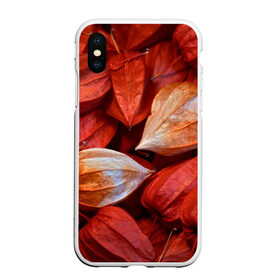 Чехол для iPhone XS Max матовый с принтом прекрасный красный физалис в Курске, Силикон | Область печати: задняя сторона чехла, без боковых панелей | Тематика изображения на принте: красноватый | красные коробочки | красный | листья | осень | прикольный | природа | растения | текстура | теплый | фезалис | физалис | фонарики
