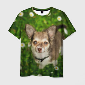 Мужская футболка 3D с принтом Маленькая собака в ромашках в Курске, 100% полиэфир | прямой крой, круглый вырез горловины, длина до линии бедер | домашний питомец | куст | луг | малыш | нос | песик | поле | ромашки | собака | собаколюб | собачка | собачникам | уши | цветы | четвероногий друг | щенок | язык