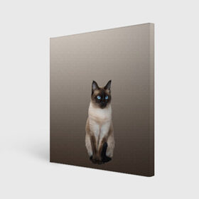 Холст квадратный с принтом Сиамский кот голубые глаза в Курске, 100% ПВХ |  | арт | бежевый | градиент | киса | коричневый | кот | котейка | котенок | котик | котэ | кошка | реализм | сиамец | сиамский
