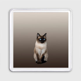 Магнит 55*55 с принтом Сиамский кот голубые глаза в Курске, Пластик | Размер: 65*65 мм; Размер печати: 55*55 мм | Тематика изображения на принте: арт | бежевый | градиент | киса | коричневый | кот | котейка | котенок | котик | котэ | кошка | реализм | сиамец | сиамский