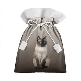 Подарочный 3D мешок с принтом Сиамский кот голубые глаза в Курске, 100% полиэстер | Размер: 29*39 см | Тематика изображения на принте: арт | бежевый | градиент | киса | коричневый | кот | котейка | котенок | котик | котэ | кошка | реализм | сиамец | сиамский