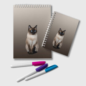 Блокнот с принтом Сиамский кот голубые глаза в Курске, 100% бумага | 48 листов, плотность листов — 60 г/м2, плотность картонной обложки — 250 г/м2. Листы скреплены удобной пружинной спиралью. Цвет линий — светло-серый
 | арт | бежевый | градиент | киса | коричневый | кот | котейка | котенок | котик | котэ | кошка | реализм | сиамец | сиамский