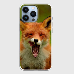 Чехол для iPhone 13 Pro с принтом Лисица в Курске,  |  | fox | foxy | животное | звери | лиса | лисенок | лисичка | милая | рыжая | фокс