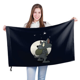 Флаг 3D с принтом Серый волчонок в Курске, 100% полиэстер | плотность ткани — 95 г/м2, размер — 67 х 109 см. Принт наносится с одной стороны | графика | звезды | ночь | персонаж | природа | рисунок | сказка | сон | хищник