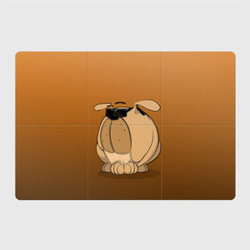 Магнитный плакат 3Х2 с принтом Крутой мой верный пес в Курске, Полимерный материал с магнитным слоем | 6 деталей размером 9*9 см | бульдог | графика | крутой парень | очки | персонаж | пес | рисунок | чёрные очки