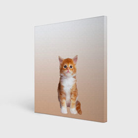 Холст квадратный с принтом бело-рыжий котенок реализм в Курске, 100% ПВХ |  | cat | kitten | бело рыжий | градиент | кот | котейка | котенок | котеночек | котик | котофей | котэ | кошка | малыш | милаш | мяу | нэко | реализм | рыже белый