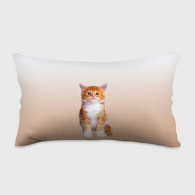 Подушка 3D антистресс с принтом бело-рыжий котенок реализм в Курске, наволочка — 100% полиэстер, наполнитель — вспененный полистирол | состоит из подушки и наволочки на молнии | Тематика изображения на принте: cat | kitten | бело рыжий | градиент | кот | котейка | котенок | котеночек | котик | котофей | котэ | кошка | малыш | милаш | мяу | нэко | реализм | рыже белый
