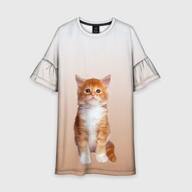 Детское платье 3D с принтом бело-рыжий котенок реализм в Курске, 100% полиэстер | прямой силуэт, чуть расширенный к низу. Круглая горловина, на рукавах — воланы | Тематика изображения на принте: cat | kitten | бело рыжий | градиент | кот | котейка | котенок | котеночек | котик | котофей | котэ | кошка | малыш | милаш | мяу | нэко | реализм | рыже белый