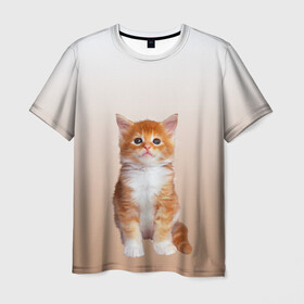 Мужская футболка 3D с принтом бело-рыжий котенок реализм в Курске, 100% полиэфир | прямой крой, круглый вырез горловины, длина до линии бедер | cat | kitten | бело рыжий | градиент | кот | котейка | котенок | котеночек | котик | котофей | котэ | кошка | малыш | милаш | мяу | нэко | реализм | рыже белый