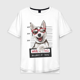 Мужская футболка хлопок Oversize с принтом Задержанный хаски в Курске, 100% хлопок | свободный крой, круглый ворот, “спинка” длиннее передней части | очки | преступник | собака | улыбака | улыбка | хаски | хипстер