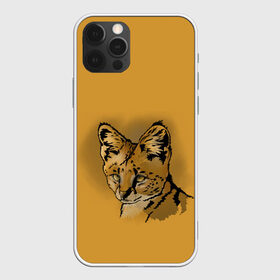 Чехол для iPhone 12 Pro Max с принтом Сервал в Курске, Силикон |  | африка | графика | дикий мир | животное | кошка | персонаж | природа | рисунок | хищник