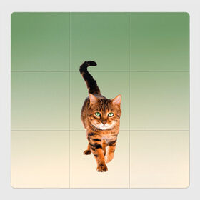 Магнитный плакат 3Х3 с принтом короткошерстный кот идет в Курске, Полимерный материал с магнитным слоем | 9 деталей размером 9*9 см | cat | kitten | большой | градиент | зеленые глаза | идет | камышовый | короткошерстный | кот | котейка | котик | кошка | любопытный | мяу | полоски | породистый | реалистичный | рыжий | фото