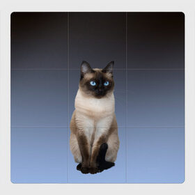 Магнитный плакат 3Х3 с принтом сиамская милая кошечка в Курске, Полимерный материал с магнитным слоем | 9 деталей размером 9*9 см | cat | kitten | голубые глаза | градиент | кот | котейка | котик | кошечка | кошка | милая | мяу | сиамская | сиамский