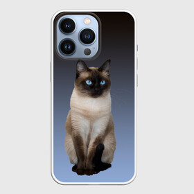 Чехол для iPhone 13 Pro с принтом сиамская милая кошечка в Курске,  |  | cat | kitten | голубые глаза | градиент | кот | котейка | котик | кошечка | кошка | милая | мяу | сиамская | сиамский