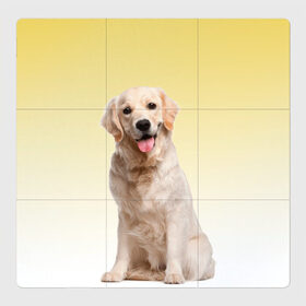 Магнитный плакат 3Х3 с принтом Лабрадор ретривер пес в Курске, Полимерный материал с магнитным слоем | 9 деталей размером 9*9 см | Тематика изображения на принте: домашние любимцы | друг | животные | золотистый ретривер | лабрадор | пес | питомец | породистый | собака