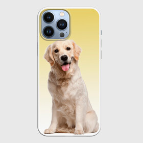 Чехол для iPhone 13 Pro Max с принтом Лабрадор ретривер пес в Курске,  |  | домашние любимцы | друг | животные | золотистый ретривер | лабрадор | пес | питомец | породистый | собака