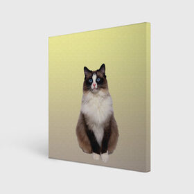 Холст квадратный с принтом персидская пушистая кошка в Курске, 100% ПВХ |  | ветеринар | градиент | домашний питомец | котейка | котик | коты | котэ | кошатник | кошатница | кошачьи | кошки | любитель животных | мяу | нэко | персидская | сиамская | смесь | шаблон