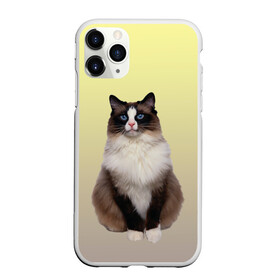 Чехол для iPhone 11 Pro Max матовый с принтом персидская пушистая кошка в Курске, Силикон |  | Тематика изображения на принте: ветеринар | градиент | домашний питомец | котейка | котик | коты | котэ | кошатник | кошатница | кошачьи | кошки | любитель животных | мяу | нэко | персидская | сиамская | смесь | шаблон