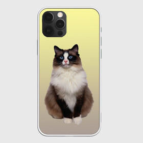 Чехол для iPhone 12 Pro Max с принтом персидская пушистая кошка в Курске, Силикон |  | Тематика изображения на принте: ветеринар | градиент | домашний питомец | котейка | котик | коты | котэ | кошатник | кошатница | кошачьи | кошки | любитель животных | мяу | нэко | персидская | сиамская | смесь | шаблон