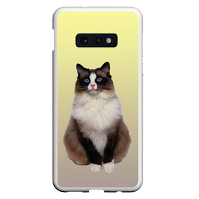 Чехол для Samsung S10E с принтом персидская пушистая кошка в Курске, Силикон | Область печати: задняя сторона чехла, без боковых панелей | ветеринар | градиент | домашний питомец | котейка | котик | коты | котэ | кошатник | кошатница | кошачьи | кошки | любитель животных | мяу | нэко | персидская | сиамская | смесь | шаблон