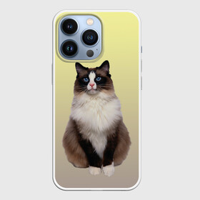 Чехол для iPhone 13 Pro с принтом персидская пушистая кошка в Курске,  |  | ветеринар | градиент | домашний питомец | котейка | котик | коты | котэ | кошатник | кошатница | кошачьи | кошки | любитель животных | мяу | нэко | персидская | сиамская | смесь | шаблон