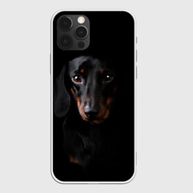 Чехол для iPhone 12 Pro Max с принтом ТАКСА в Курске, Силикон |  | animal | black | dog | photo | глаза | домашние | животные | звери | пес | собакен | собаки | такса | черный