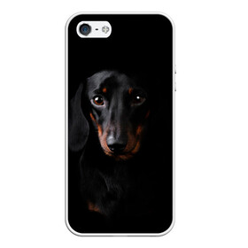 Чехол для iPhone 5/5S матовый с принтом ТАКСА в Курске, Силикон | Область печати: задняя сторона чехла, без боковых панелей | animal | black | dog | photo | глаза | домашние | животные | звери | пес | собакен | собаки | такса | черный