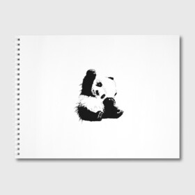 Альбом для рисования с принтом Панда минимализм в Курске, 100% бумага
 | матовая бумага, плотность 200 мг. | animal | bear | beast | black | minimalism | panda | white | белое | животное | зверь | краски | медведь | минимализм | панда | чернила | черно белое | черное