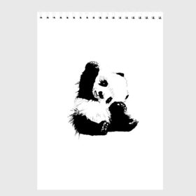 Скетчбук с принтом Панда минимализм в Курске, 100% бумага
 | 48 листов, плотность листов — 100 г/м2, плотность картонной обложки — 250 г/м2. Листы скреплены сверху удобной пружинной спиралью | animal | bear | beast | black | minimalism | panda | white | белое | животное | зверь | краски | медведь | минимализм | панда | чернила | черно белое | черное