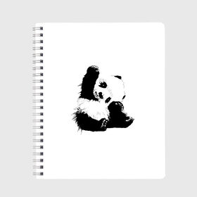 Тетрадь с принтом Панда минимализм в Курске, 100% бумага | 48 листов, плотность листов — 60 г/м2, плотность картонной обложки — 250 г/м2. Листы скреплены сбоку удобной пружинной спиралью. Уголки страниц и обложки скругленные. Цвет линий — светло-серый
 | animal | bear | beast | black | minimalism | panda | white | белое | животное | зверь | краски | медведь | минимализм | панда | чернила | черно белое | черное