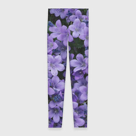 Леггинсы 3D с принтом Фиолетовый цвет весны в Курске, 80% полиэстер, 20% эластан | Эластичный пояс, зауженные к низу, низкая посадка | art | casual | весенний | весна | градиент | зелень | растения | структура | текстура | цветы