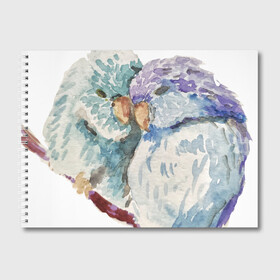 Альбом для рисования с принтом Акварельные попугаи в Курске, 100% бумага
 | матовая бумага, плотность 200 мг. | Тематика изображения на принте: love | parrot | watercolour | акварель | арт | любовь | нежность | попугаи