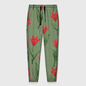 Мужские брюки 3D с принтом Красные тюльпаны на зеленом в Курске, 100% полиэстер | манжеты по низу, эластичный пояс регулируется шнурком, по бокам два кармана без застежек, внутренняя часть кармана из мелкой сетки | Тематика изображения на принте: 8 марта | flowers | march 8 | spring | ботаническая иллюстрация | весна | день рождения | зеленый | красный | лето | любовь | праздник | принт | природа | растения | тюльпаны | цветы