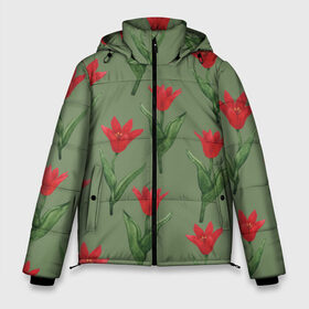 Мужская зимняя куртка 3D с принтом Красные тюльпаны на зеленом в Курске, верх — 100% полиэстер; подкладка — 100% полиэстер; утеплитель — 100% полиэстер | длина ниже бедра, свободный силуэт Оверсайз. Есть воротник-стойка, отстегивающийся капюшон и ветрозащитная планка. 

Боковые карманы с листочкой на кнопках и внутренний карман на молнии. | Тематика изображения на принте: 8 марта | flowers | march 8 | spring | ботаническая иллюстрация | весна | день рождения | зеленый | красный | лето | любовь | праздник | принт | природа | растения | тюльпаны | цветы