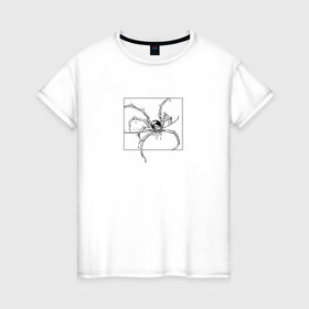 Женская футболка хлопок с принтом Паук с черепом в Курске, 100% хлопок | прямой крой, круглый вырез горловины, длина до линии бедер, слегка спущенное плечо | насекомое | паук | паук с черепом | скелет | страшный | тарантул | хоррор | череп