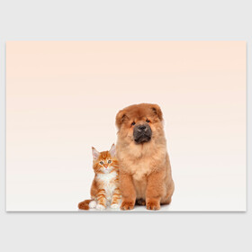 Поздравительная открытка с принтом щенок и котенок друзья в Курске, 100% бумага | плотность бумаги 280 г/м2, матовая, на обратной стороне линовка и место для марки
 | ветеринару | друзья | животные домашние | кот | котенок | любителю собак | млекопитающее | мультипликационный персонаж | мультяшная собака | мэй кун | песики | питомцы | псы | собакены | собаки