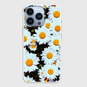 Чехол для iPhone 13 Pro с принтом Ромашки в Курске,  |  | 2021 | бабочка | весенняя | весна | вишня | вселенная | коронавирус | космос | лето | лилия | мимоза | океан | отпуск | роза | розы | ромашка | ромашки | с бабочками | с цветами | сад | сакура | фиалка