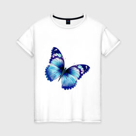 Женская футболка хлопок с принтом Синяя бабочка в Курске, 100% хлопок | прямой крой, круглый вырез горловины, длина до линии бедер, слегка спущенное плечо | бабочка | крылья | мотылек | насекомое | полет | рисунок | синий