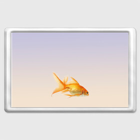 Магнит 45*70 с принтом золотая рыбка в Курске, Пластик | Размер: 78*52 мм; Размер печати: 70*45 | аквариум | градиент | золотая рыбка | подводный мир | рыба | рыбешка | рыбка